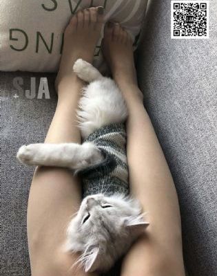 最美情侣正版视频观看_1080电影完整版