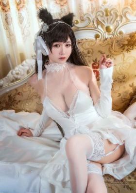 人物动物电视剧免费观看_BD国语电影完整版在线观看